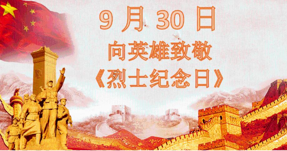 新华全媒+|安徽:湿地为迁徙候鸟提供“生态驿站”